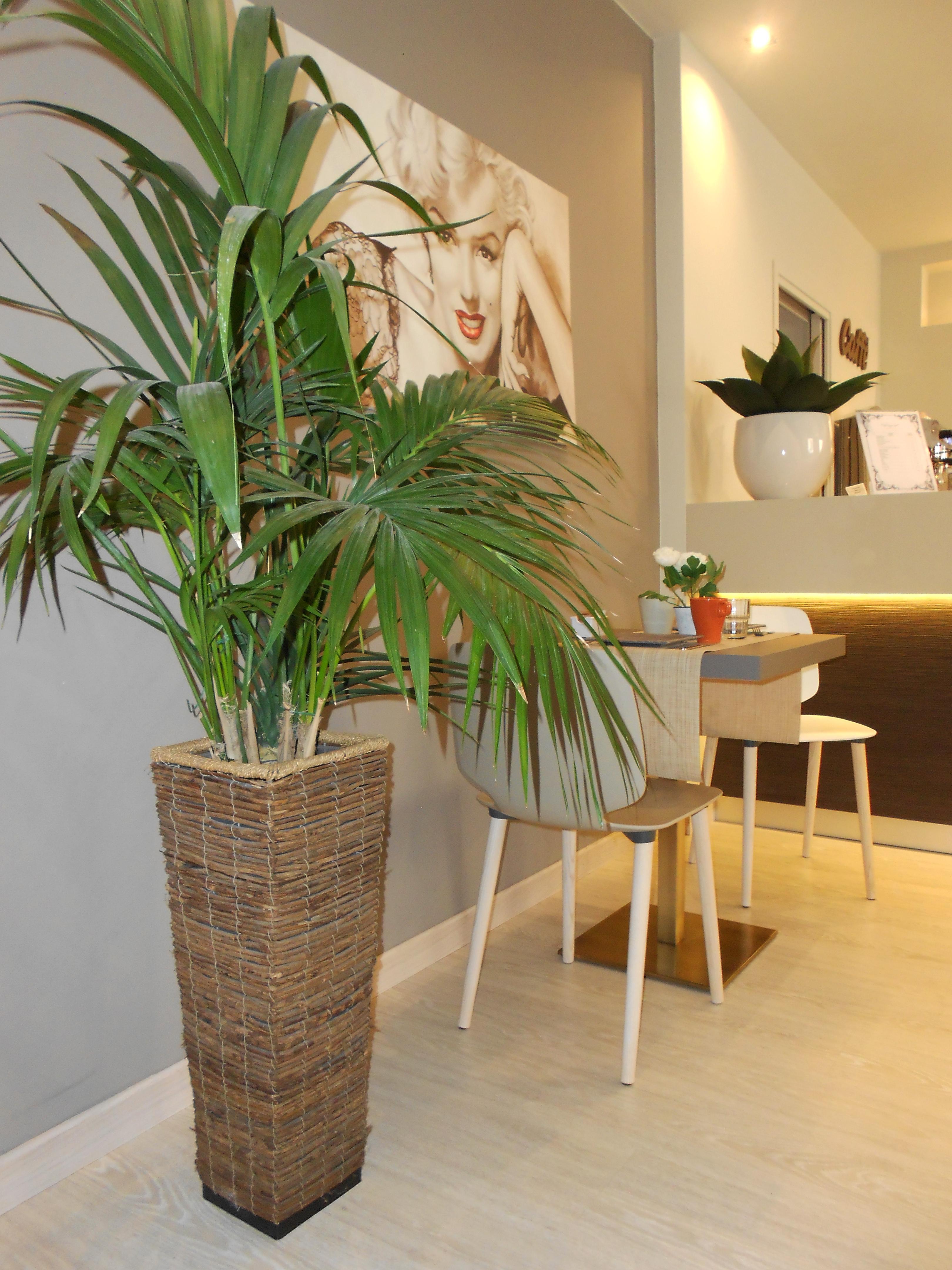 Hotel Ares Milano Luaran gambar